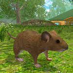 老鼠模拟器中文版  v2.3