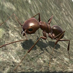 蚂蚁模拟3D汉化版