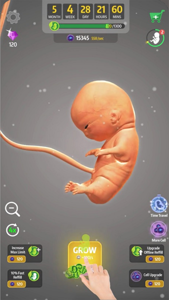 怀胎模拟器安卓版