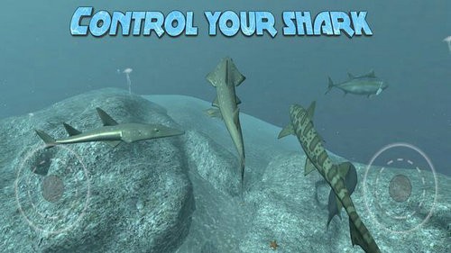 鲨鱼模拟器下载