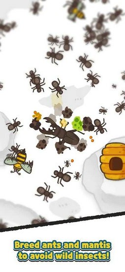 蚂蚁和螳螂帝国去广告版