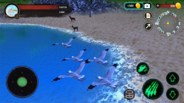 海鸥模拟器游戏手机版