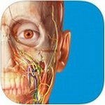 2021人体解剖学图谱
