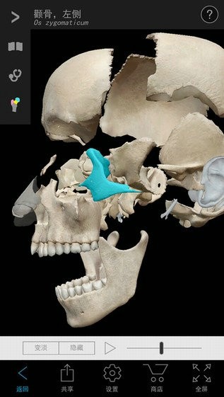 2021人体解剖学图谱app下载