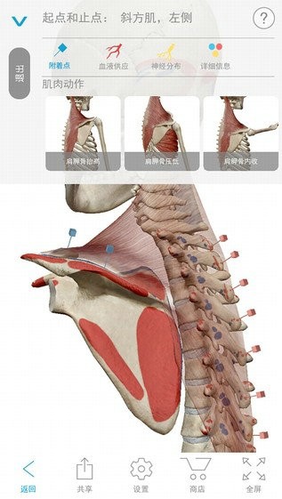 2021人体解剖学图谱苹果免费版