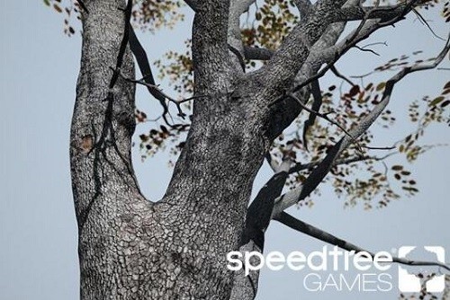 speedtree Games Indie纯净版下载