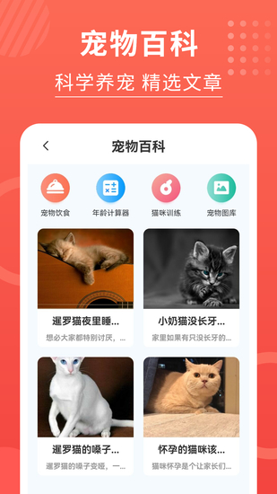 猫猫翻译器app