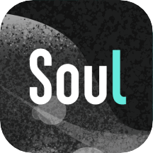 soul安卓版app  v4.20.0