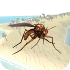 蚊子模拟2  v1.4
