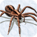 蜘蛛模拟器  v1.0.1