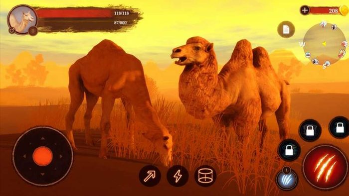 骆驼狩猎