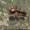 蚂蚁模拟器手机版  v1.2