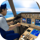 飞行模拟器2021  v1.0.5