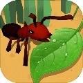 蚂蚁进化3D无限资源免广告版
