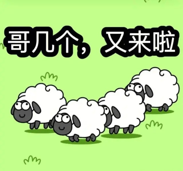 羊了个羊100%通关方法 羊了个羊通关方法有哪些